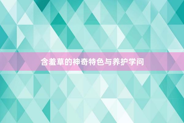 含羞草的神奇特色与养护学问