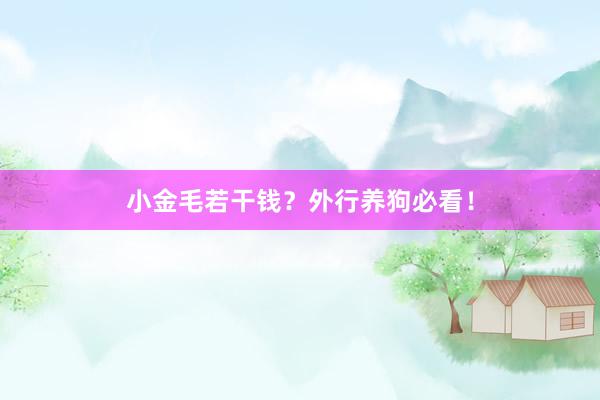 小金毛若干钱？外行养狗必看！