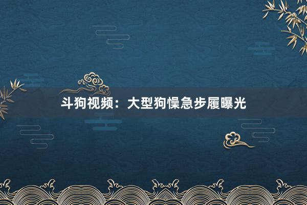 斗狗视频：大型狗懆急步履曝光